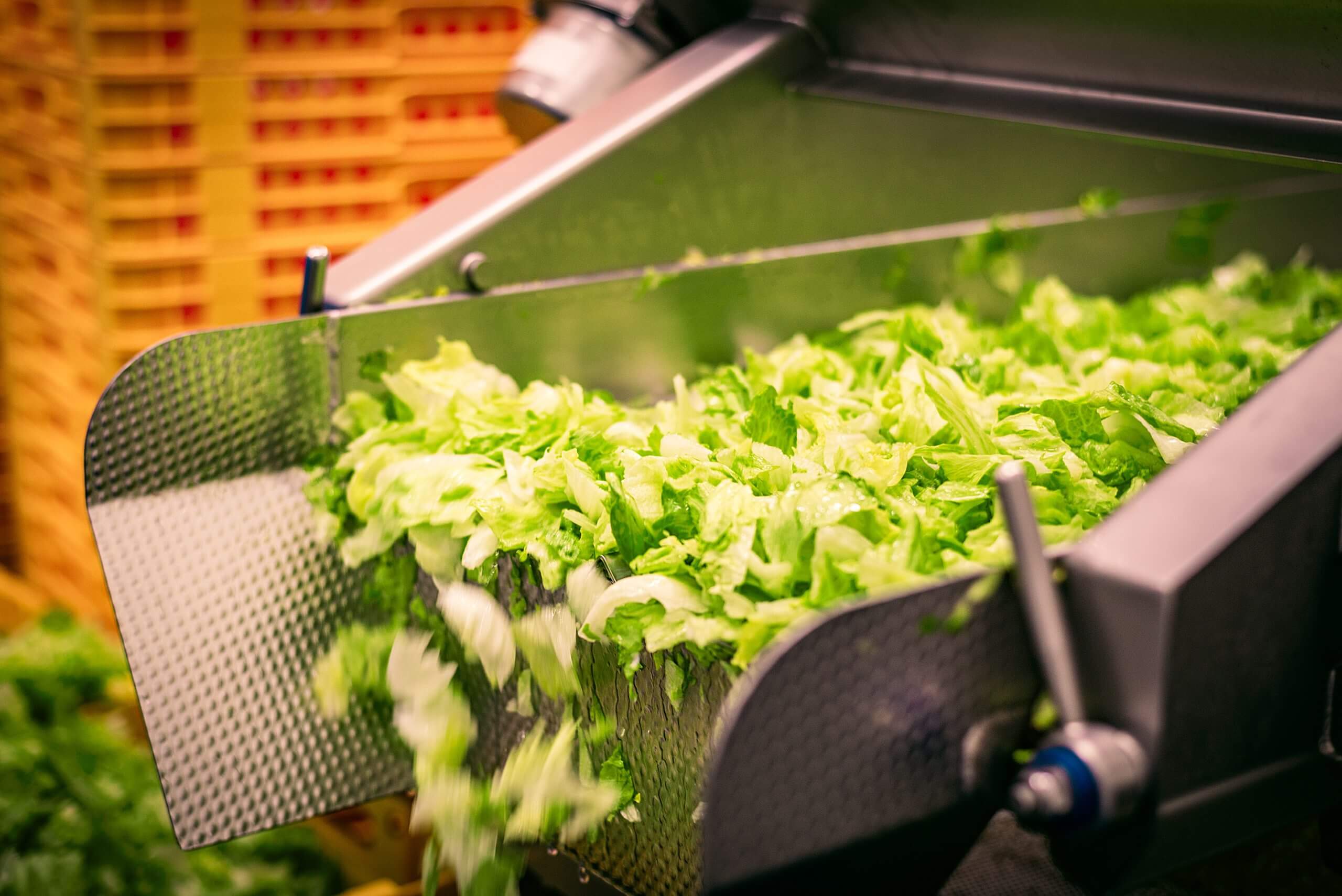 Pierre Baguette Production 2